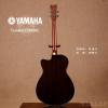 Yamaha FSX830C