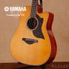 Yamaha A1M VN