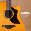 Yamaha A1M VN