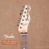 FENDER 013-7500-300 72 TELE CUSTOM õľָɫ