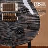 ۳ P.R.S 30th Anniversary Vine Custom 22 پ