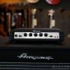 Ampeg PF-350