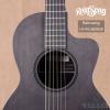 Rainsong CH-PA1000NSK