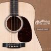 Martin D-16GT