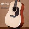 Martin D-16GT