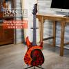 Schecter Sunset Classic Art by Pamelina ȫ1֧