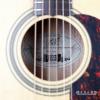 Maton EBG808 TE Tommy Emmanuelǩ(¿)