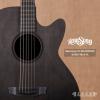 Rainsong CH-WS1000NSk