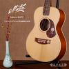 Maton EMTE