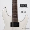 Schecter Demon-6 VWHT