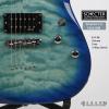 Schecter C-6 PLUS OBB