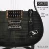 Schecter PT CUSTOM M/R TBB