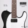 Schecter PT CUSTOM M/R TBB