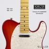 Schecter PT STANDARD M/M BSCHB