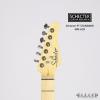 Schecter PT STANDARD M/M ACB