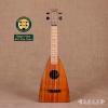 Magic Fluke M12 Koa Fluke