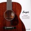 ۳ Bourgeois OM All Mahogany Ziricote Head Veneer