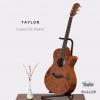۳ Taylor Custom GC Walnut