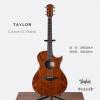 ۳ Taylor Custom GC Walnut