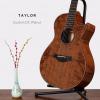۳ Taylor Custom GC Walnut