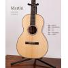 ۳ Martin Custom SS-0041GB-17