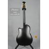۳ Ovation Custom Legend 1869