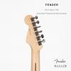 Fender ר 011-3012-706 American Professional Stratocaster
