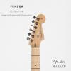 Fender ר 011-3012-706 American Professional Stratocaster