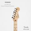 Fender ר 011-3042-700 American Professional Stratocaster