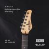 Schecter California Custom Elite Black Cherry