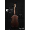 ۳ Lee Guitars HCRT 00318