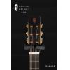 ۳ Lee Guitars HCRT 00318