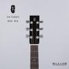 Lee guitars DJ40 ݷ