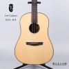 Lee guitars DJ40 ݷ
