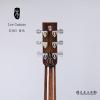 Lee guitars DJ40 ݷ
