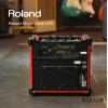 Roland MICRO CUBE GXɫ