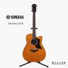 Yamaha A1R VN
