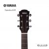 Yamaha A1R VN