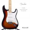 Fender 014-4602-532 STANDARD STRATOCASTER
