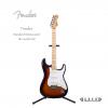 Fender 014-4602-532 STANDARD STRATOCASTER