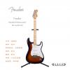 Fender 014-4602-532 STANDARD STRATOCASTER
