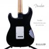 Fender 014-4602-506 STANDARD STRATOCASTER