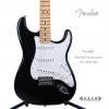 Fender 014-4602-506 STANDARD STRATOCASTER