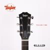 Taylor 114E