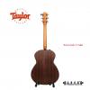 Taylor 114E