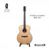 Lee guitars S30 ʼ