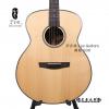 Lee guitars S30 ʼ