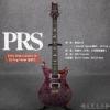 ۳ P.R.S 2016 Custom 24 10-Top Violet 