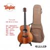 Taylor GS Mini-e Koa