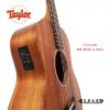 Taylor GS Mini-e Koa